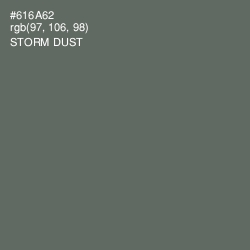 #616A62 - Storm Dust Color Image